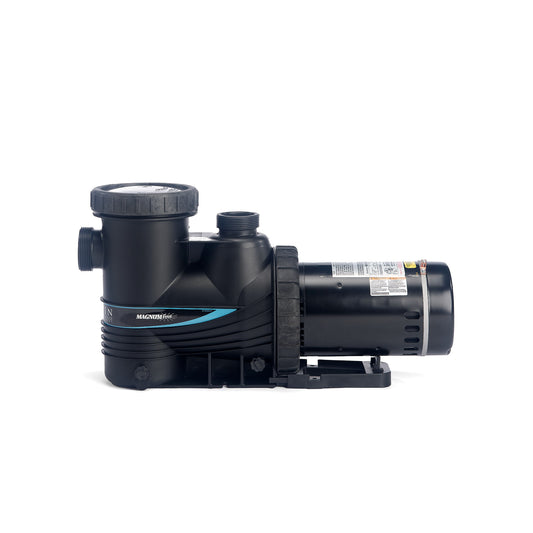 Magnum Force Inground Pool Pump By Carvin Replacement Jacuzzi